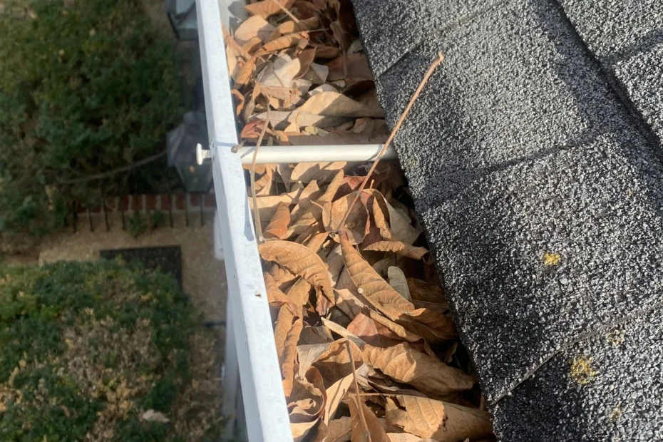 Gutter Cleaning Belville