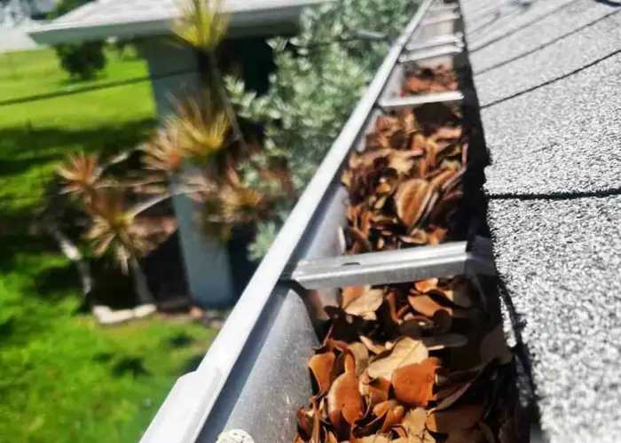 Gutter Cleaning Belville home page